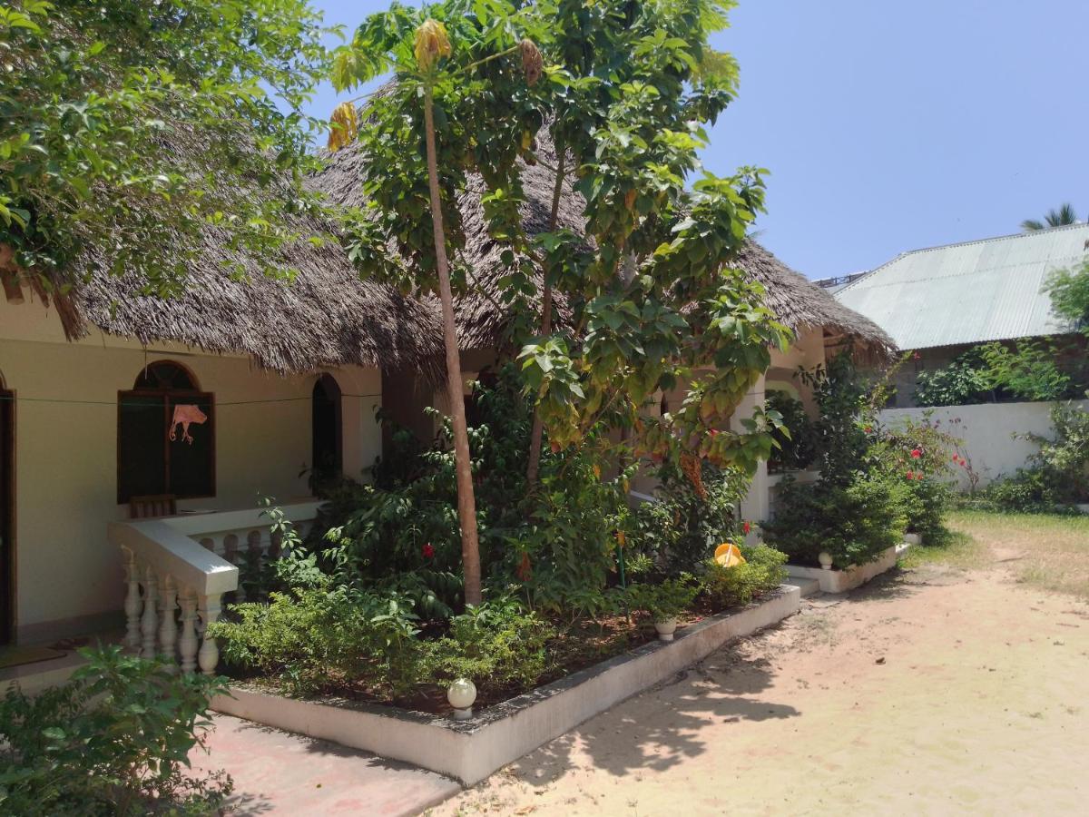 H & H Bungalows Nungwi Exteriér fotografie