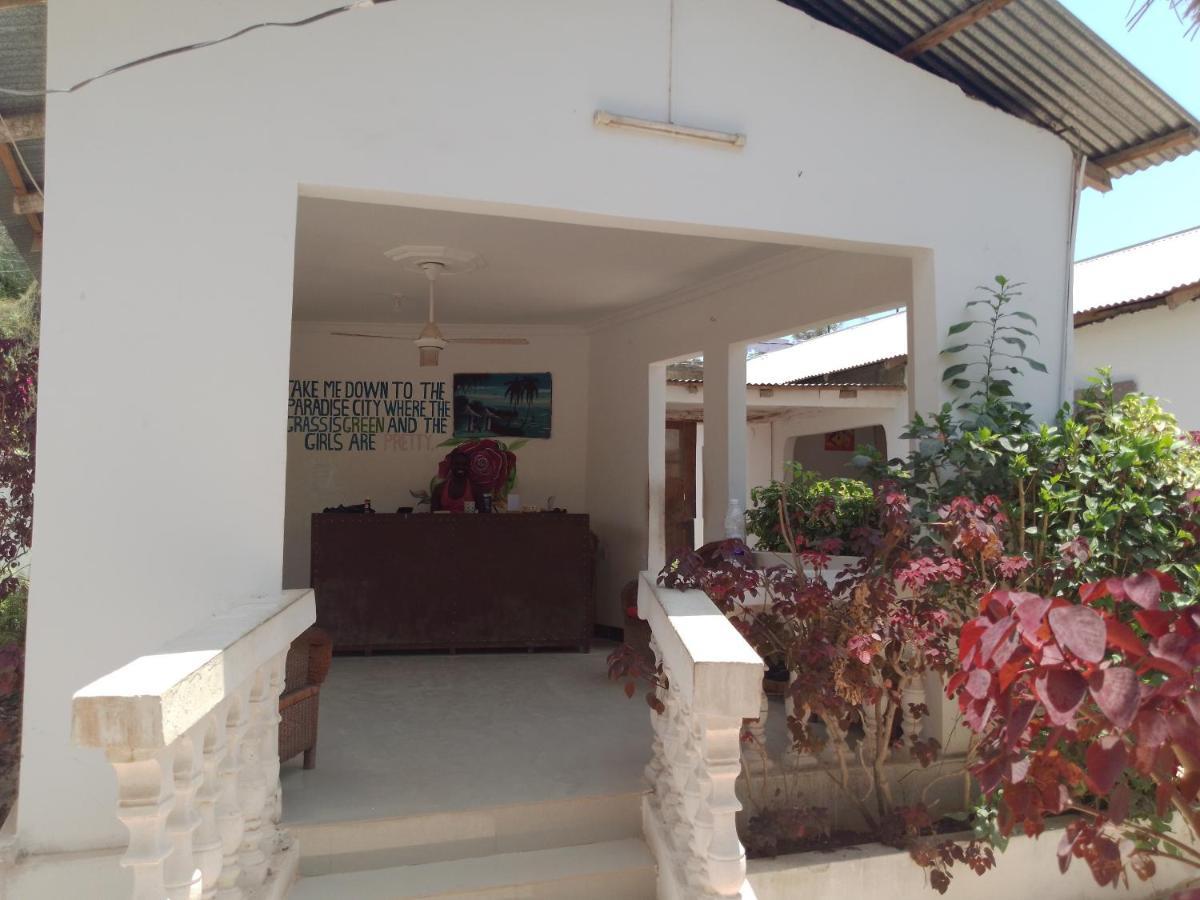 H & H Bungalows Nungwi Exteriér fotografie